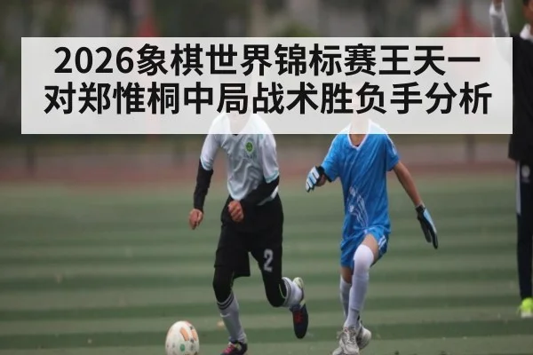 2026象棋世界锦标赛王天一对郑惟桐中局战术胜负手分析（kaiyun）