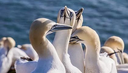 国际足联-绿城获浙江全力支持 郑雄穆谢奎希望能够重温旧梦